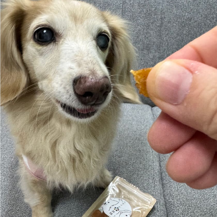 試食画像