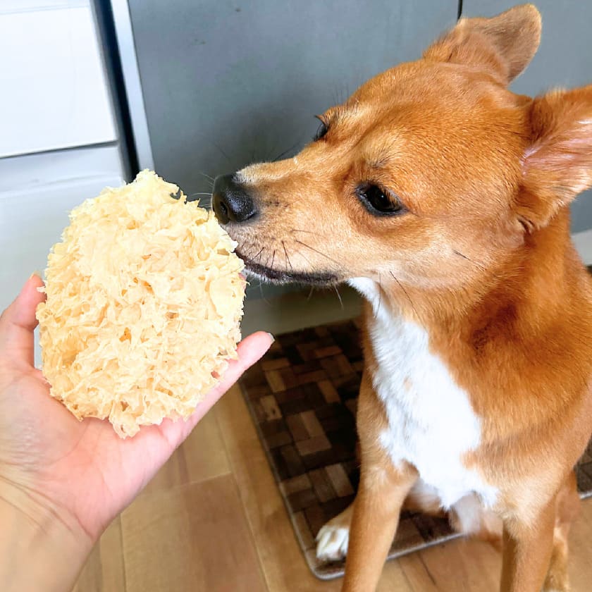 試食画像