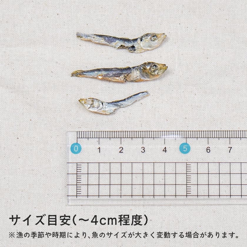 鳥取産 真水炊き平子煮干し