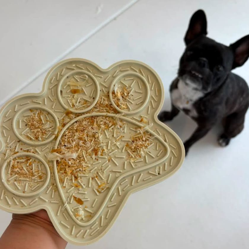試食画像