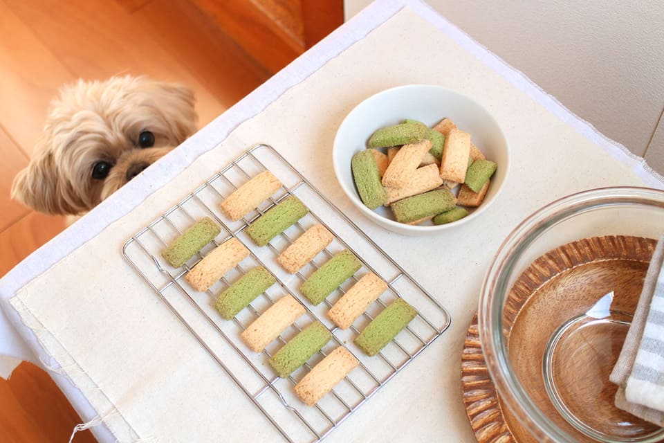 初乳酸菌クッキー ミックス(プレーン&モリンガ)