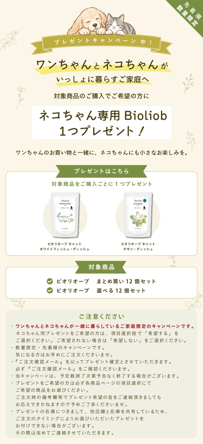 プレゼントキャンペーン