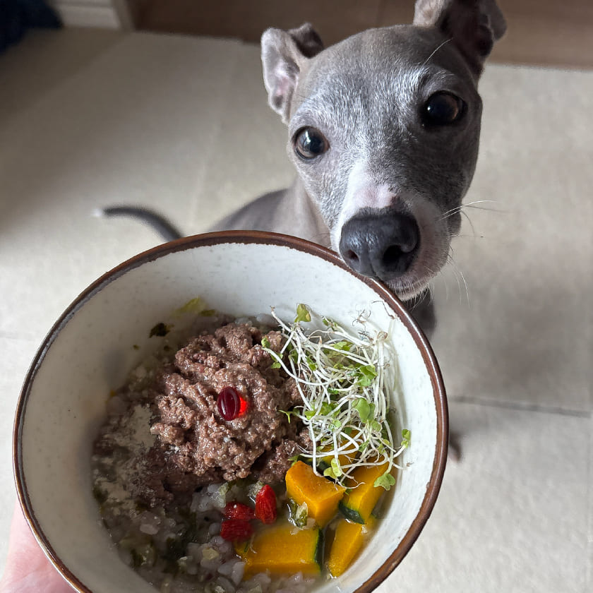 ビオ ビーフ 秋のごちそう ローズヒップ添え