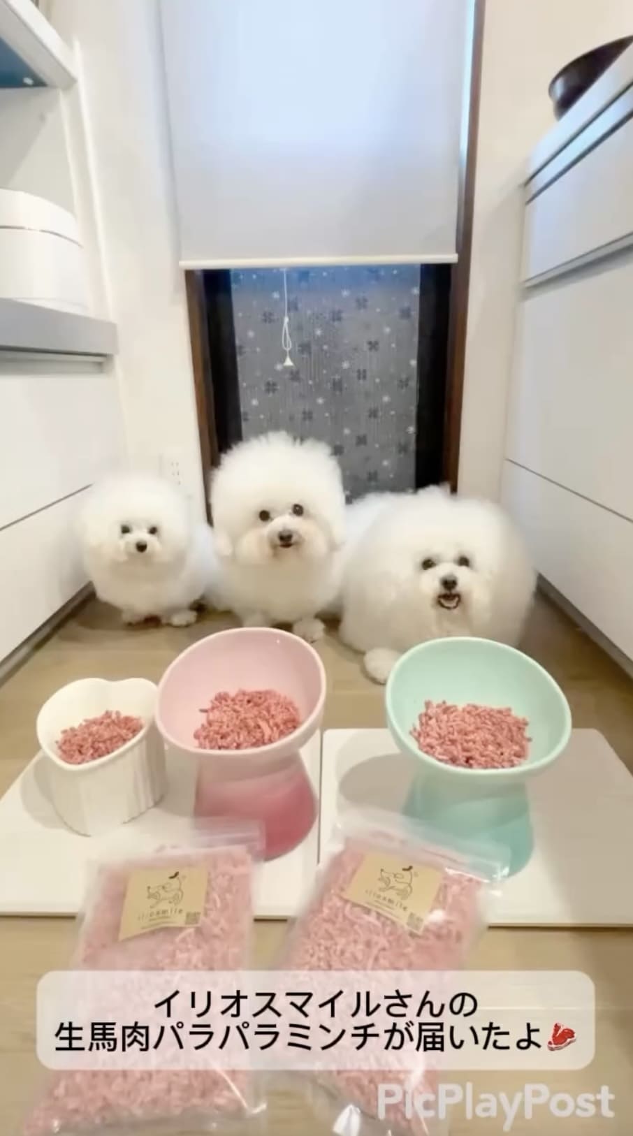 Instagramリール