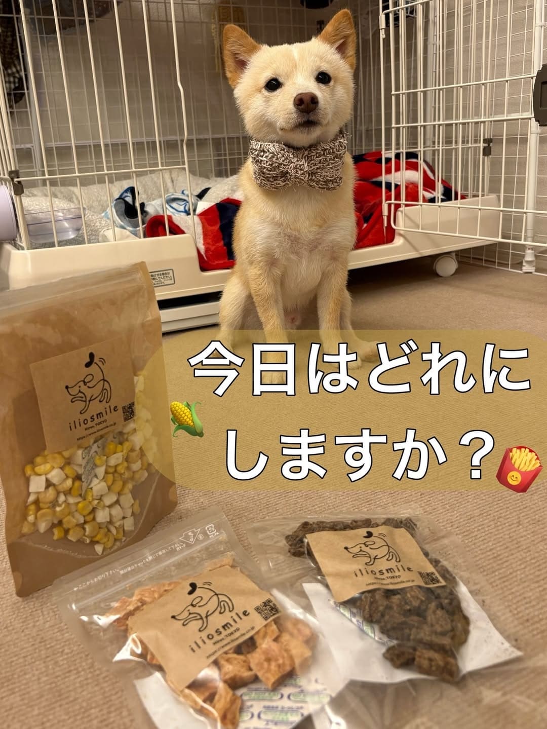 bokuokome_
