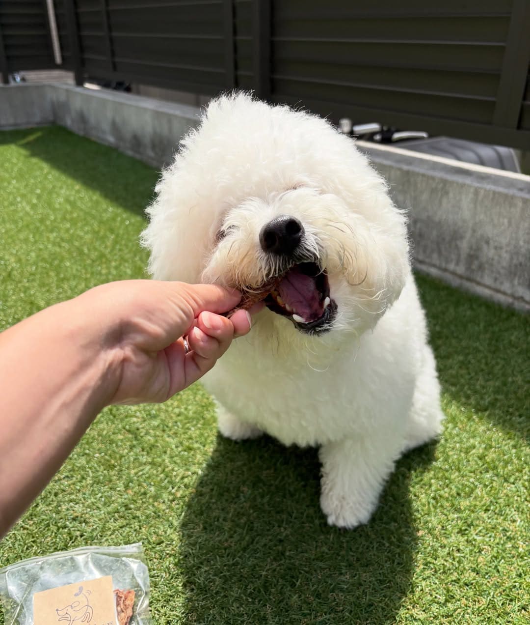 bon__124