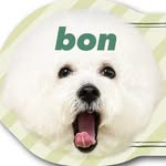 bon__124