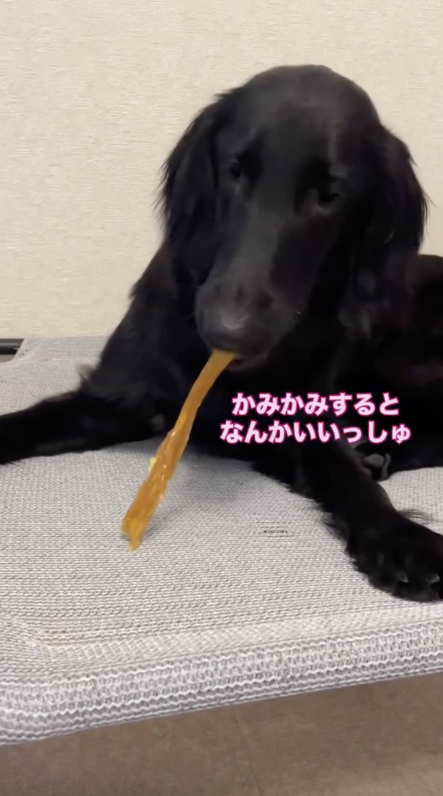 Instagramリール
