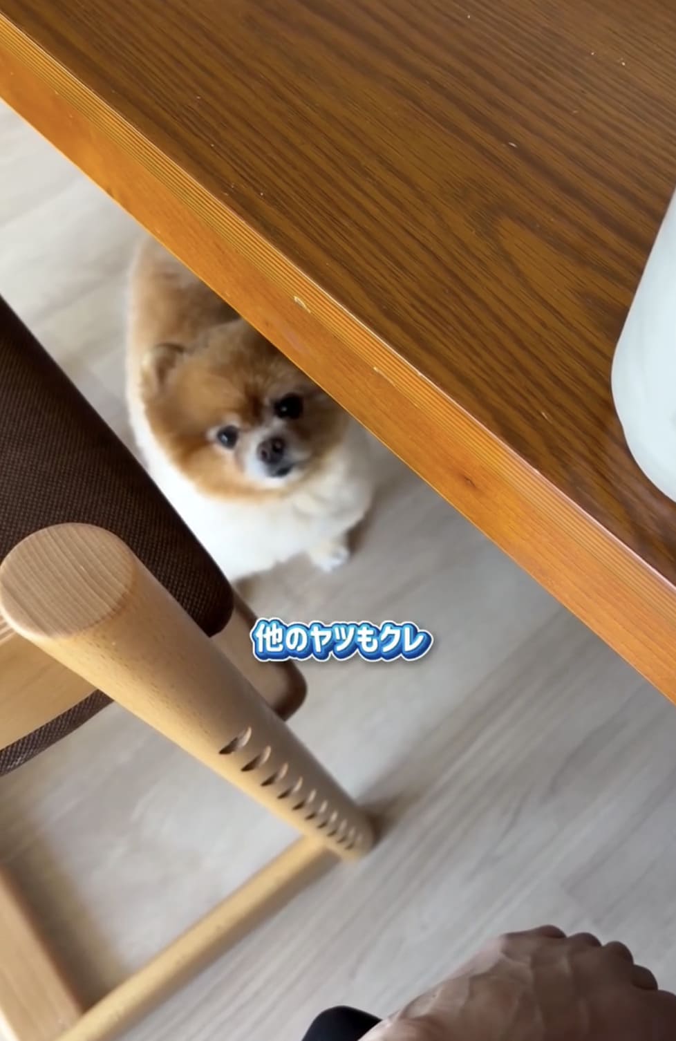 Instagramリール