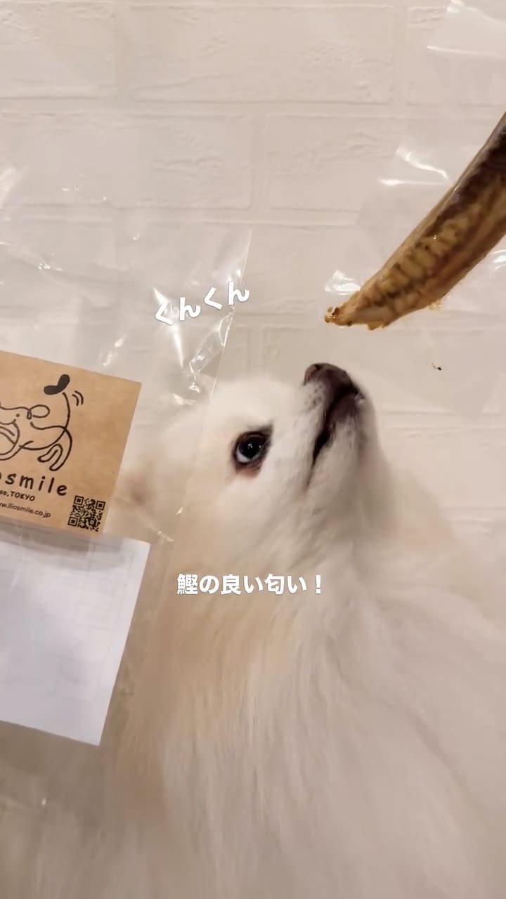 Instagramリール
