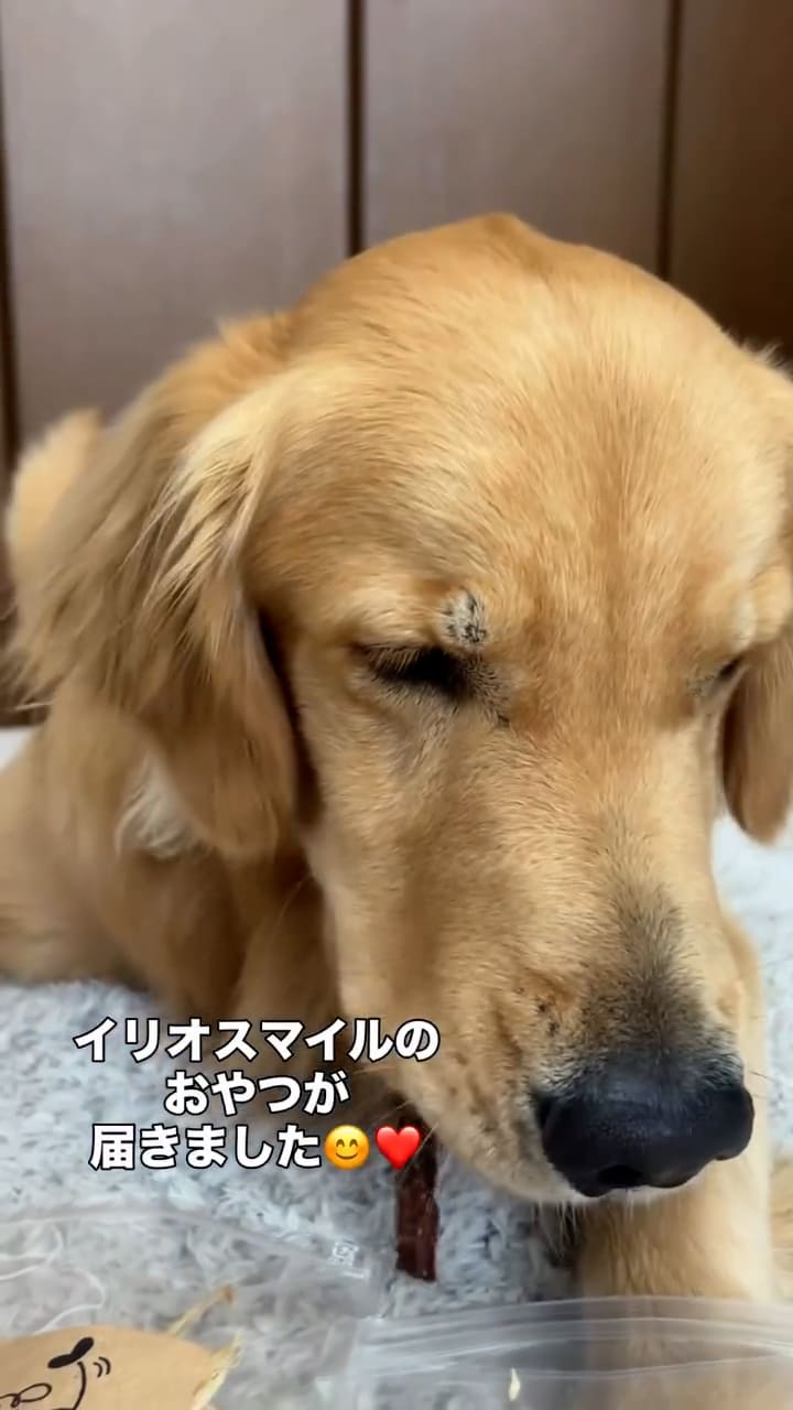 dan.golden1201