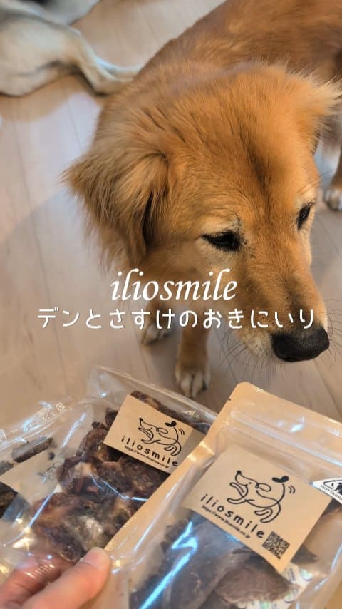 Instagramリール