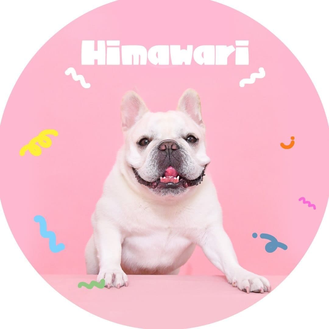 @himachan_dayo