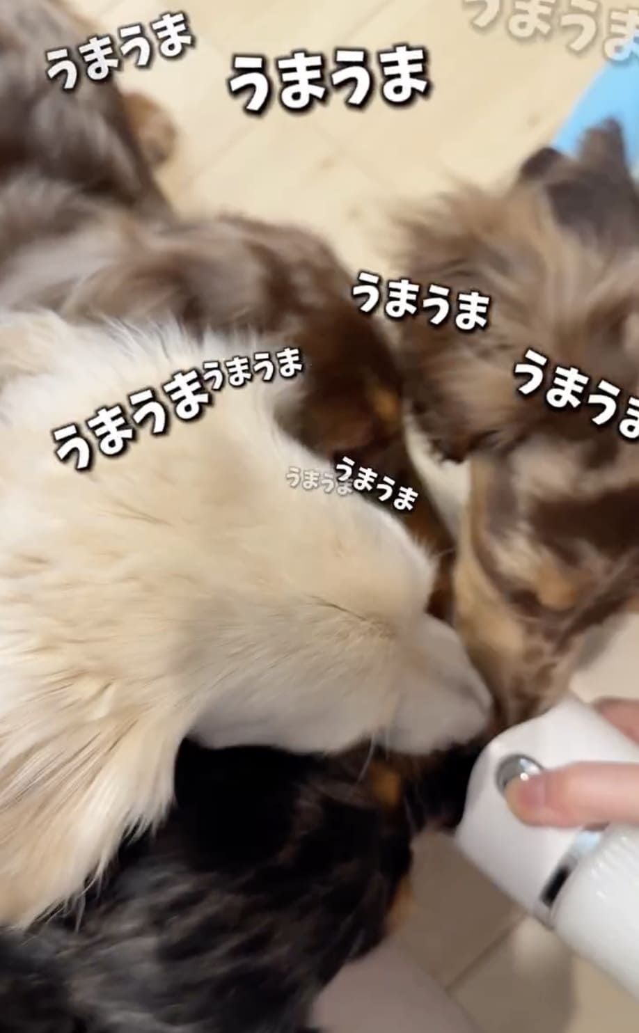 Instagramリール
