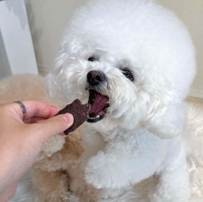 馬サクサクチップス