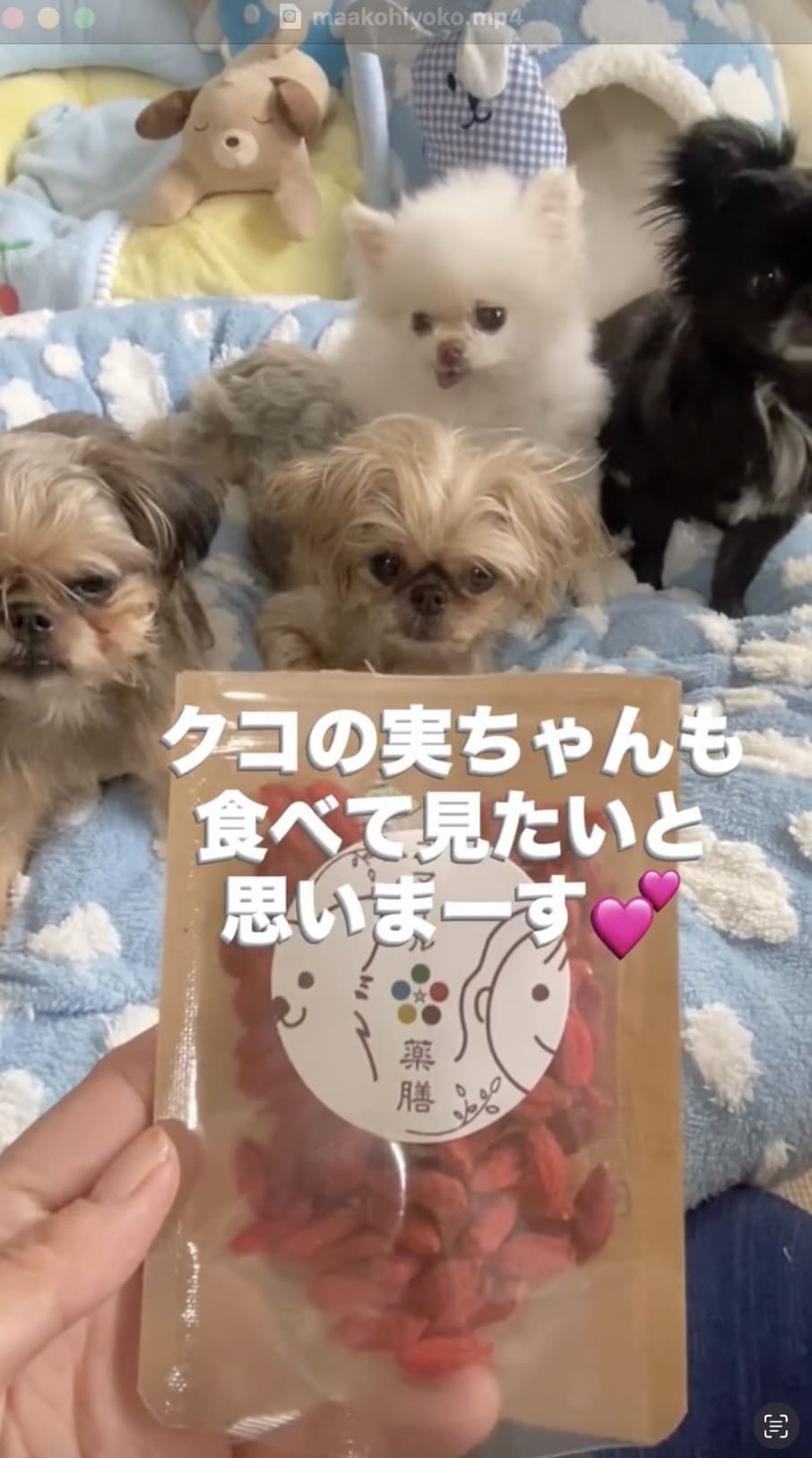 @maakohiyoko
