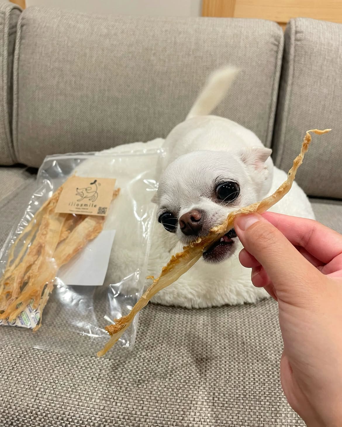 @maru.20191211
