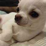 @maru.20191211