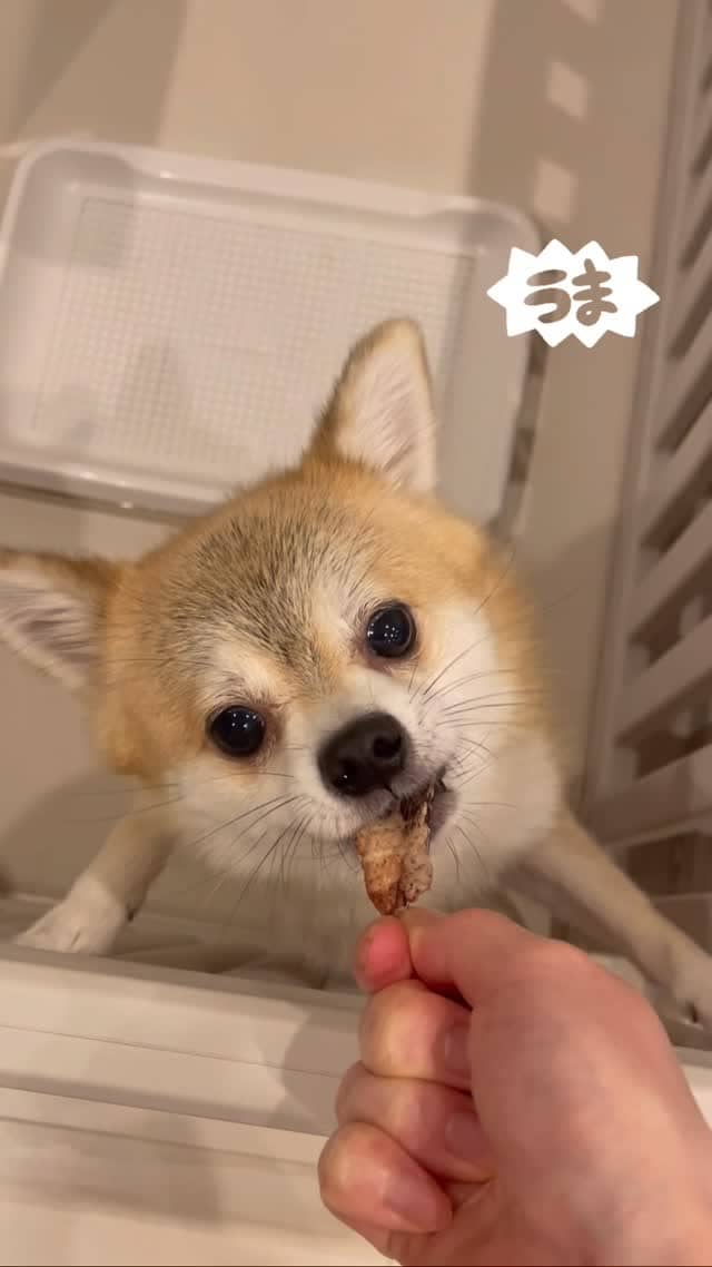 Instagramリール