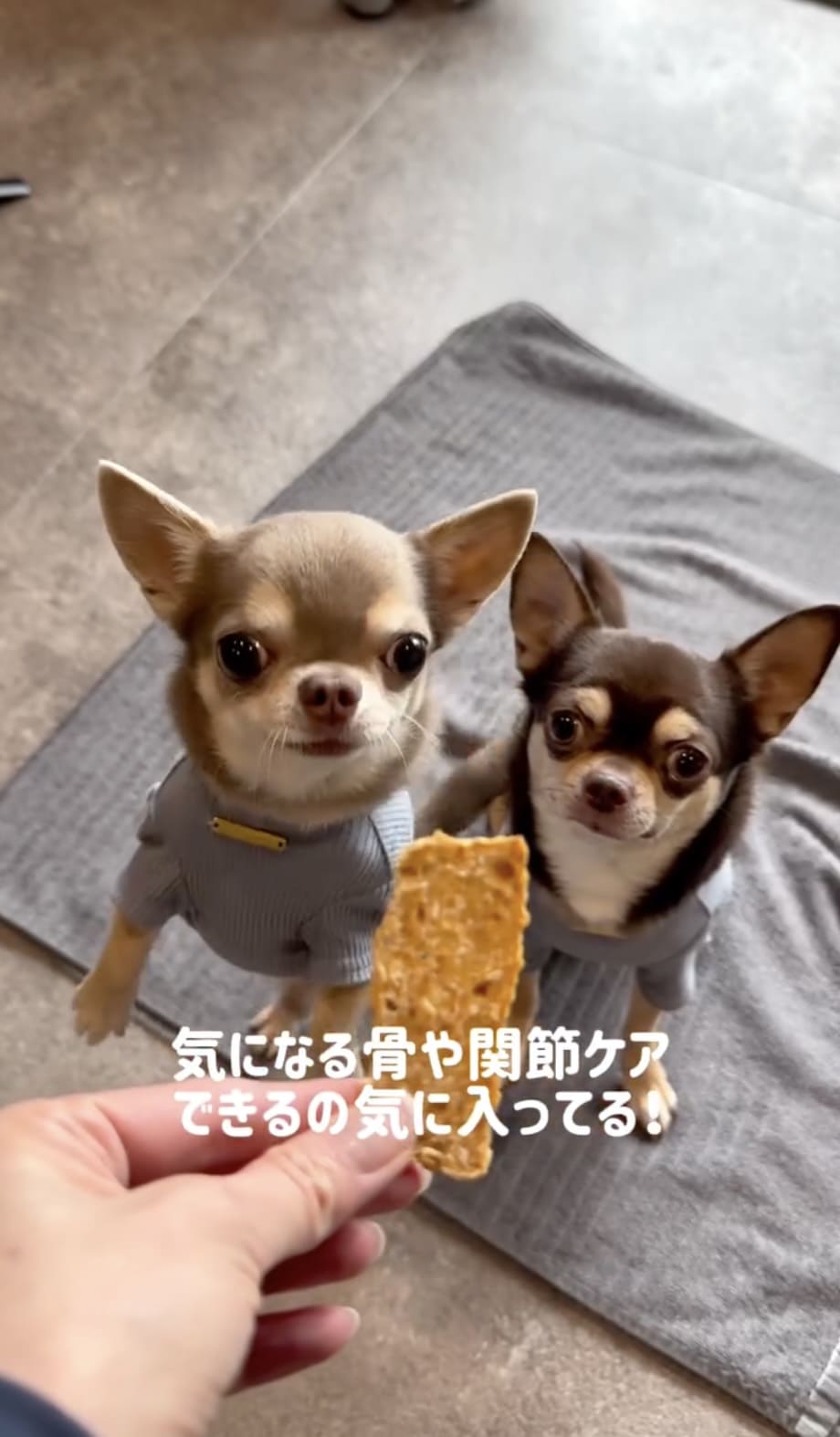 Instagramリール