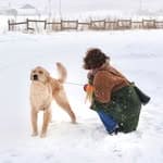 @mylifewith_lucadog