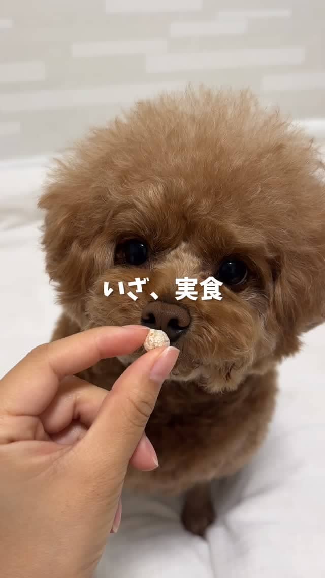 Instagramリール