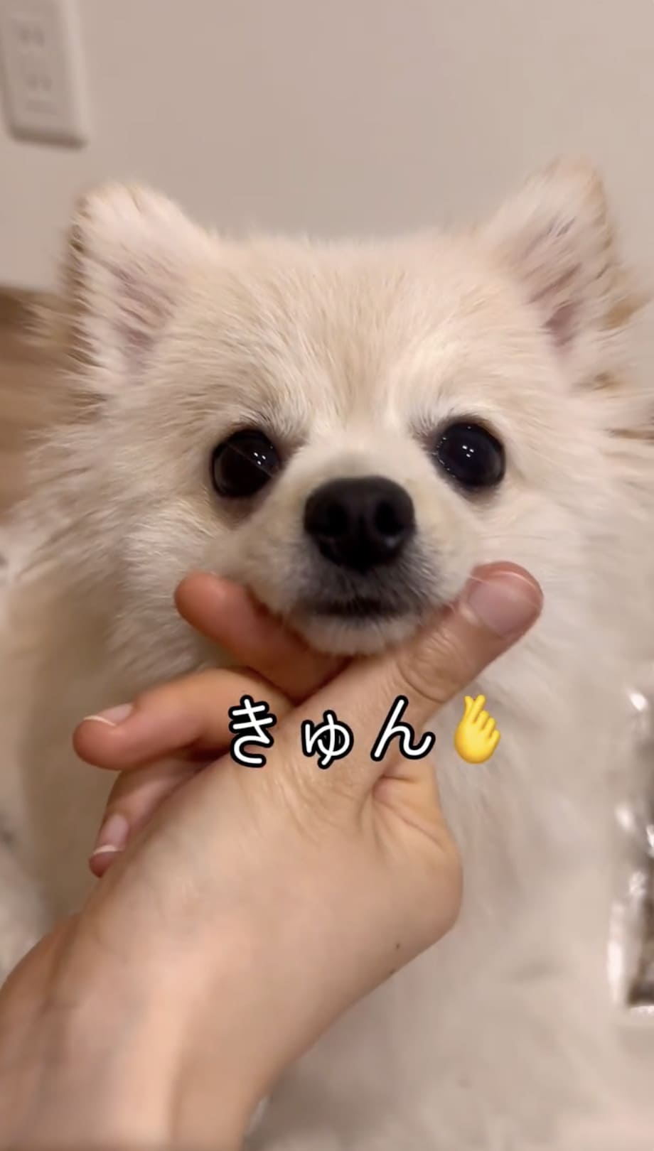 Instagramリール