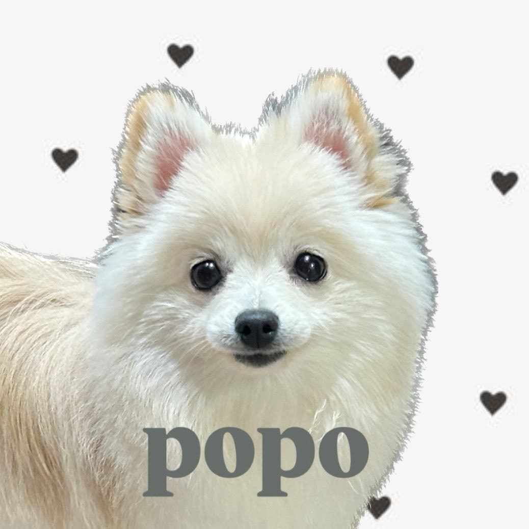 popo_pomedog