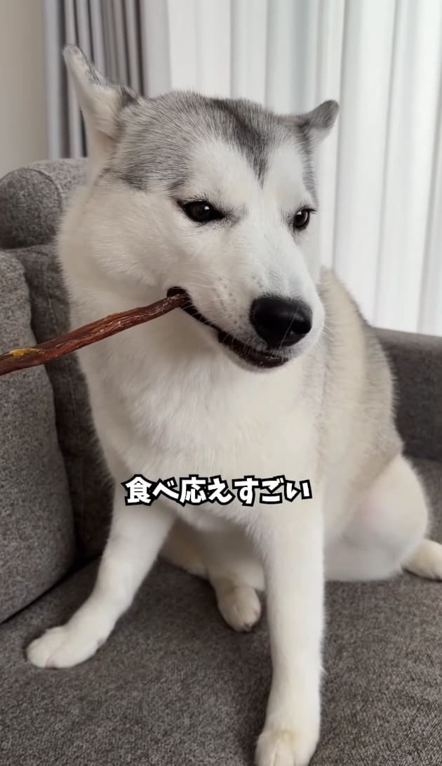 Instagramリール