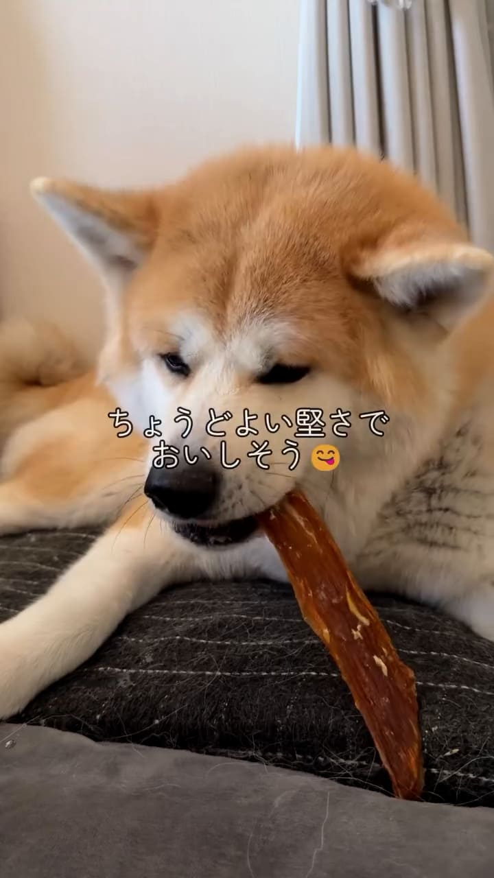 Instagramリール