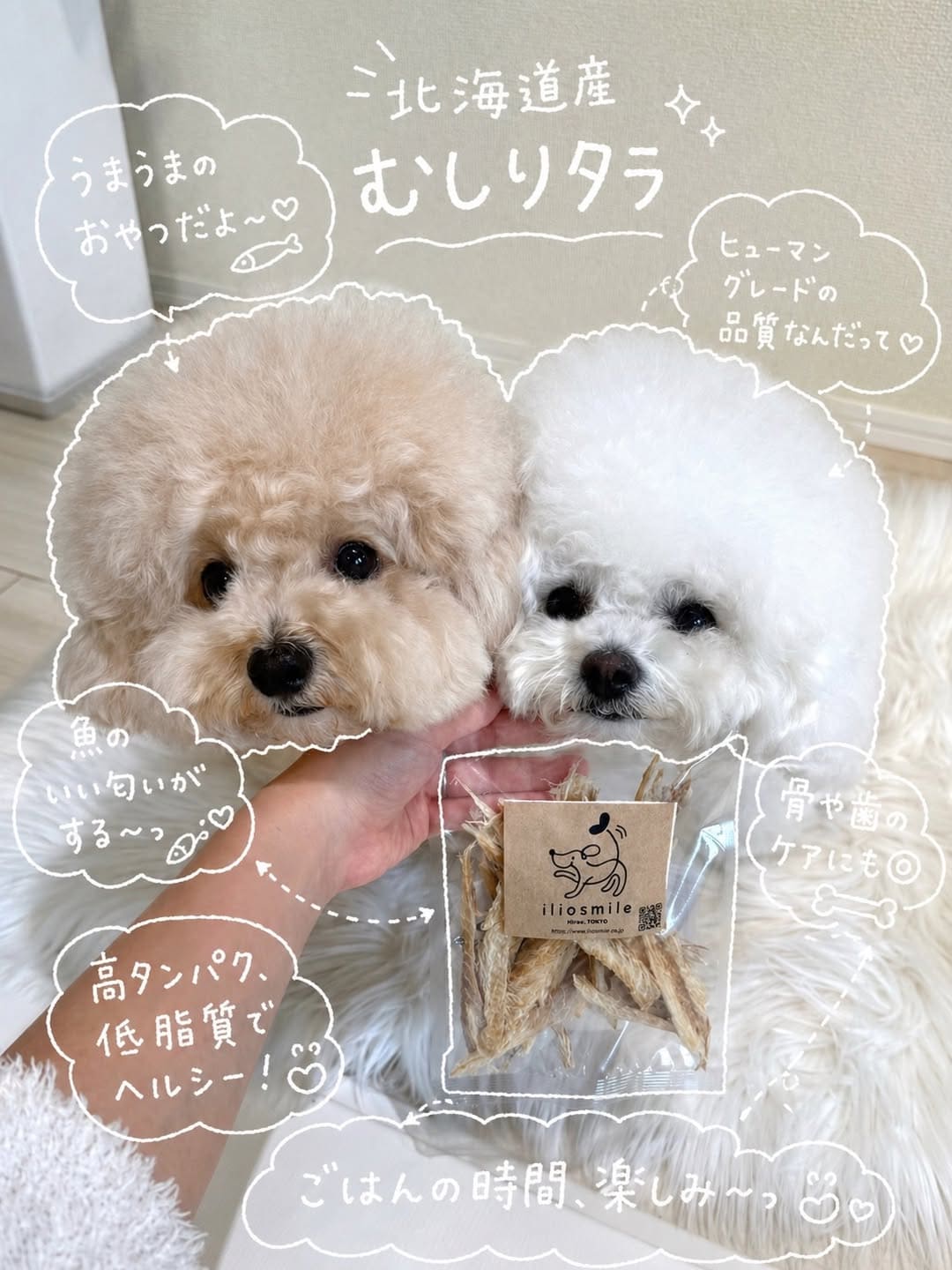 sora__0803