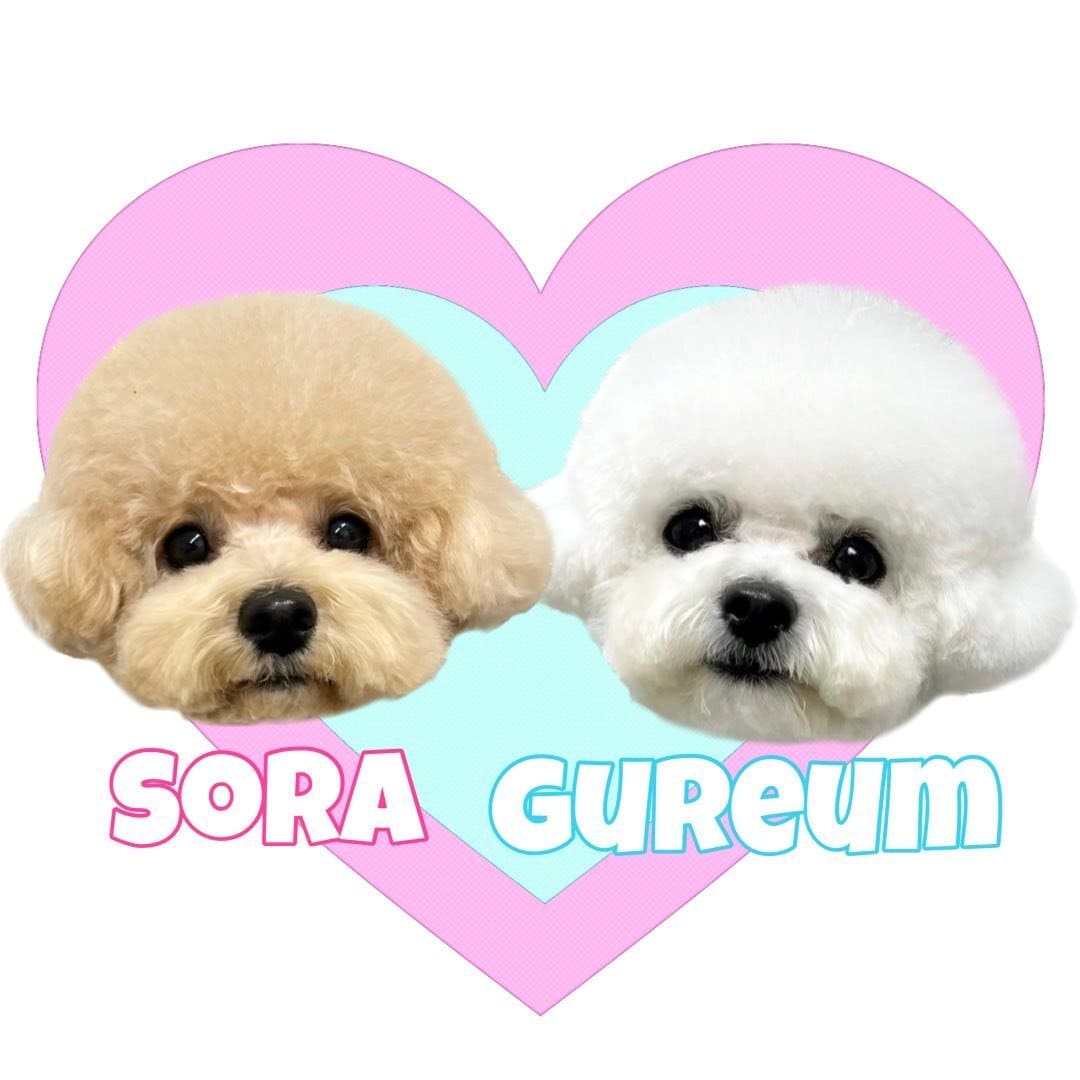 @sora__0803