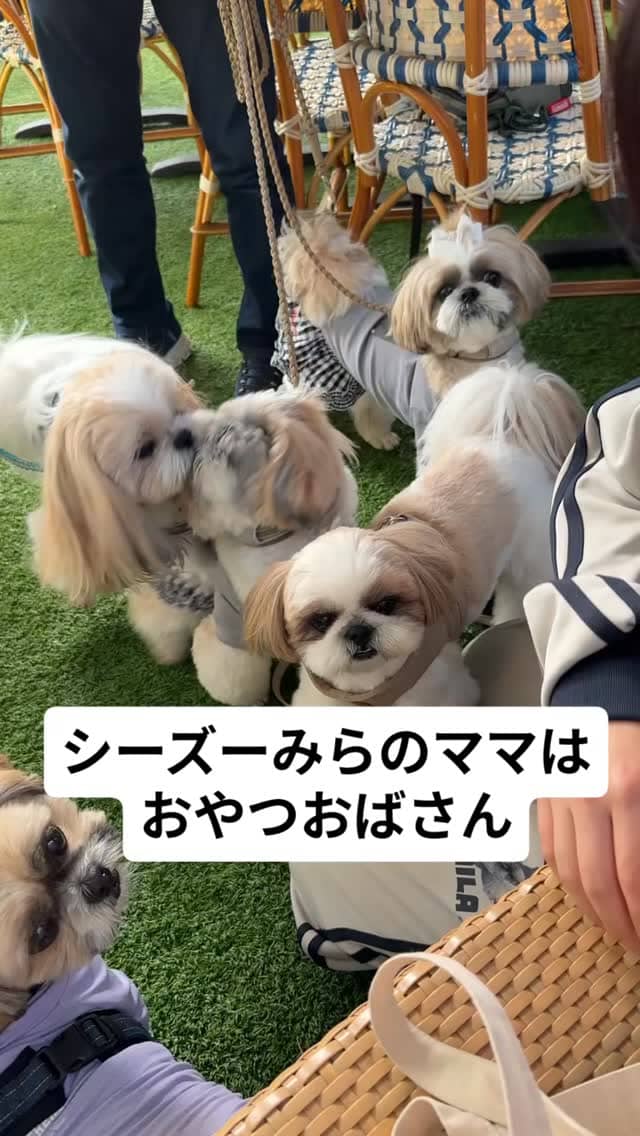 Instagramリール
