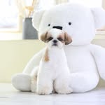 @ss.km.0127