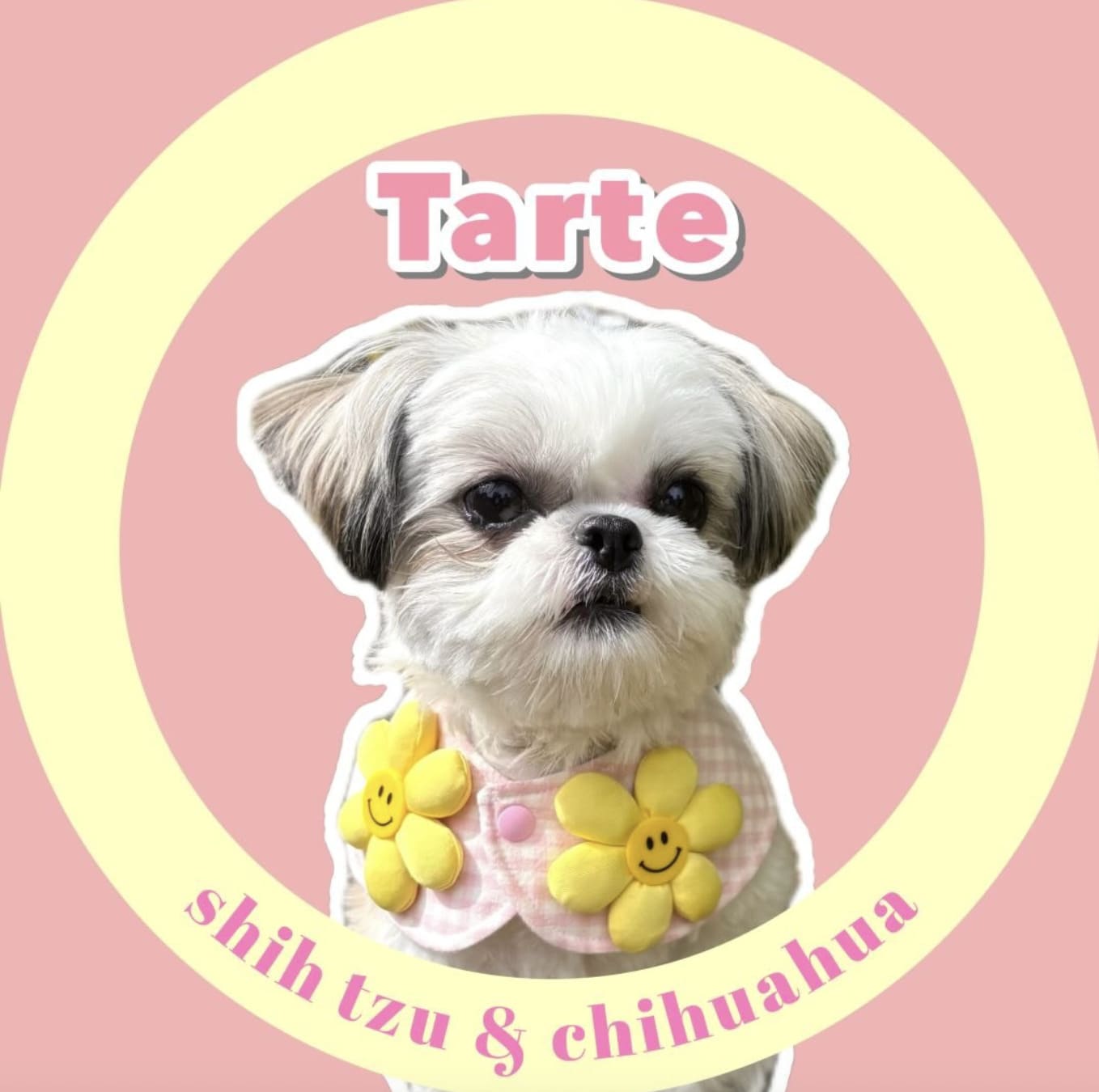 @ta.ta.tarte