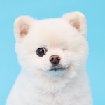 twinkle_wink11