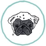 @wato_pug