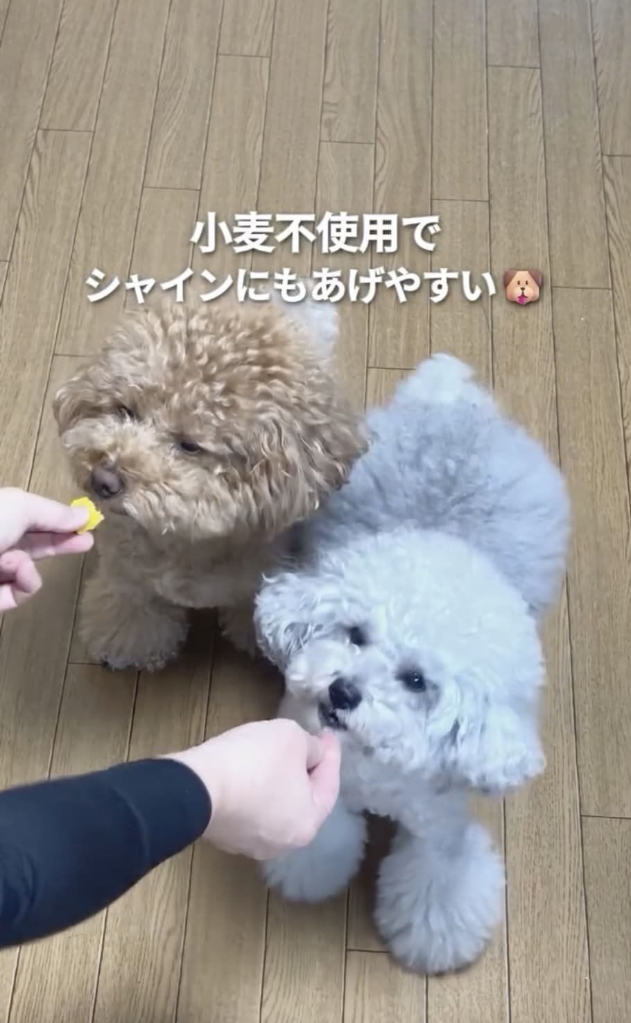 Instagramリール