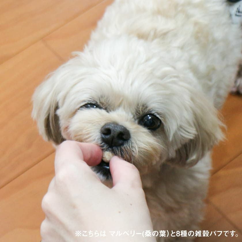 【無添加 国産】15種の雑穀パフ 50g パッケージ画像