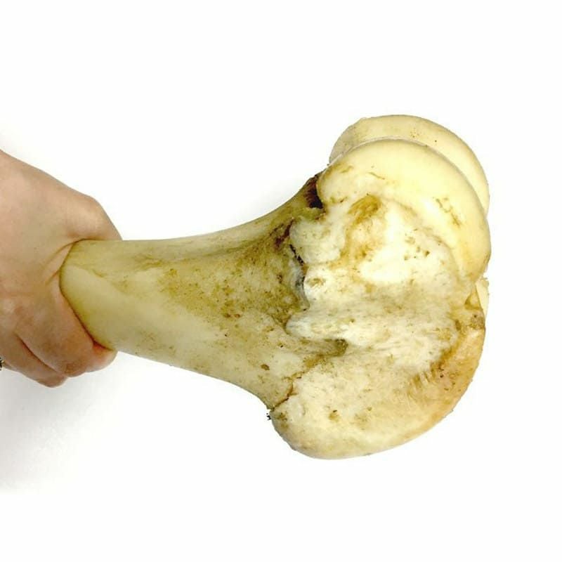 【無添加 国産】神戸牛の牛骨（げんこつ有）大（1本：900g～）