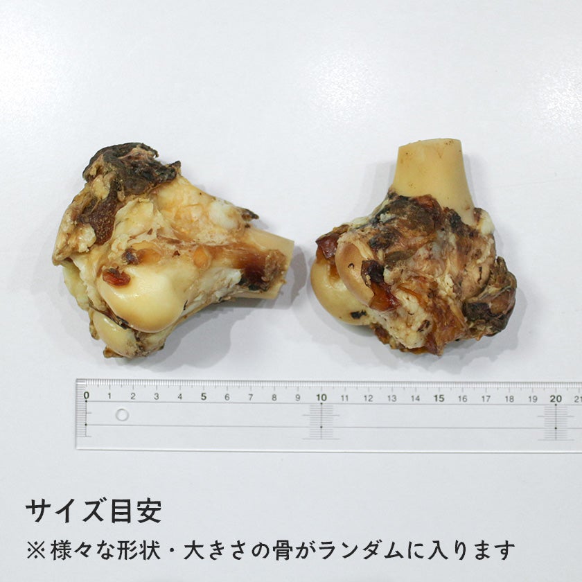 【無添加 国産】北海道産蝦夷鹿骨（げんこつあり・なし混同）