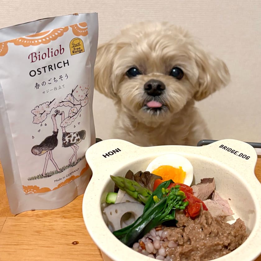 【Bioliob ビオリオーブ】ダチョウ 春のごちそう サジー仕立て