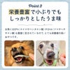 【無添加 国産】高知県産 減塩きびなご煮干しをすごい勢いで食べる看板犬ポノ