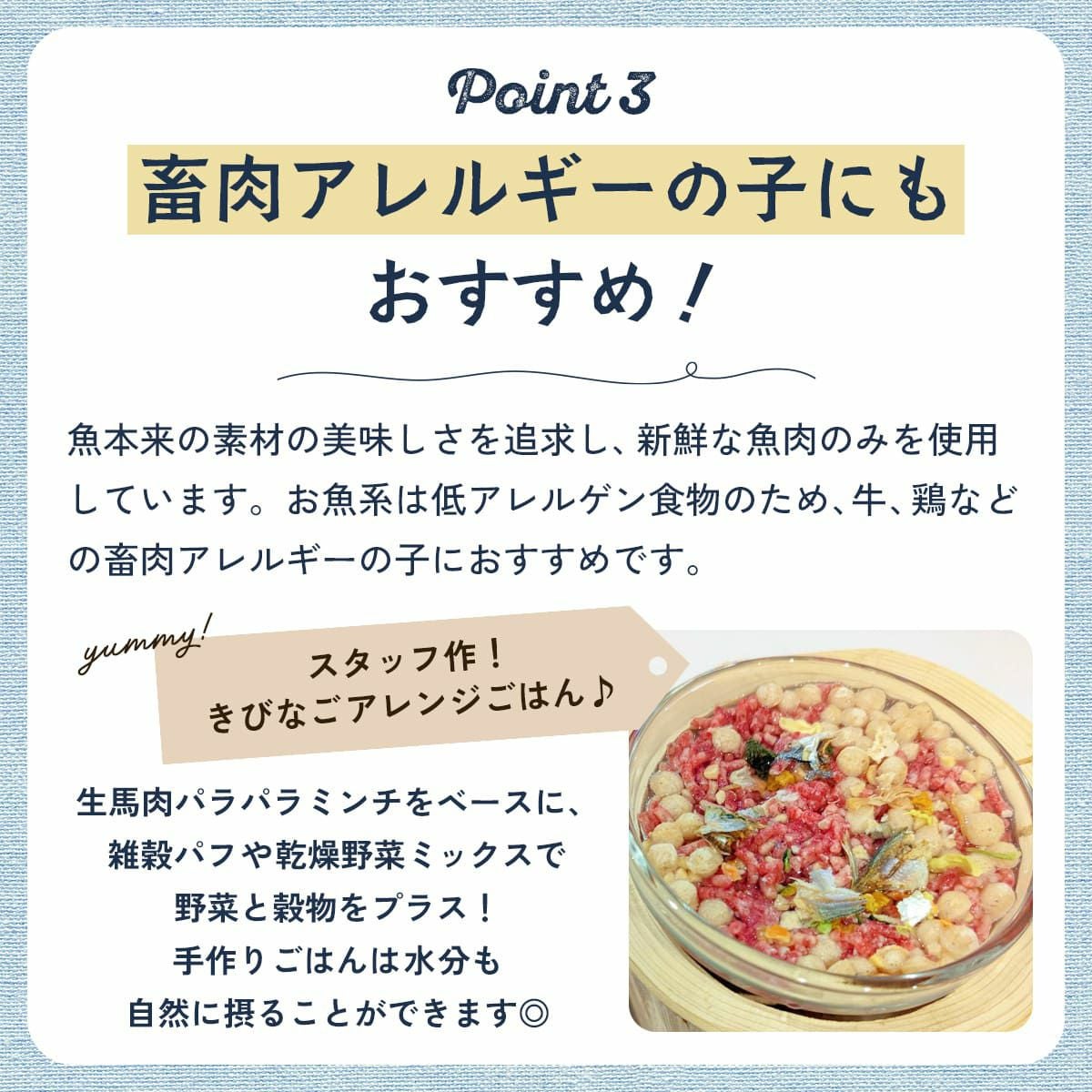 【無添加 国産】高知県産 減塩きびなご煮干しを食べるスタッフ犬ジェイ