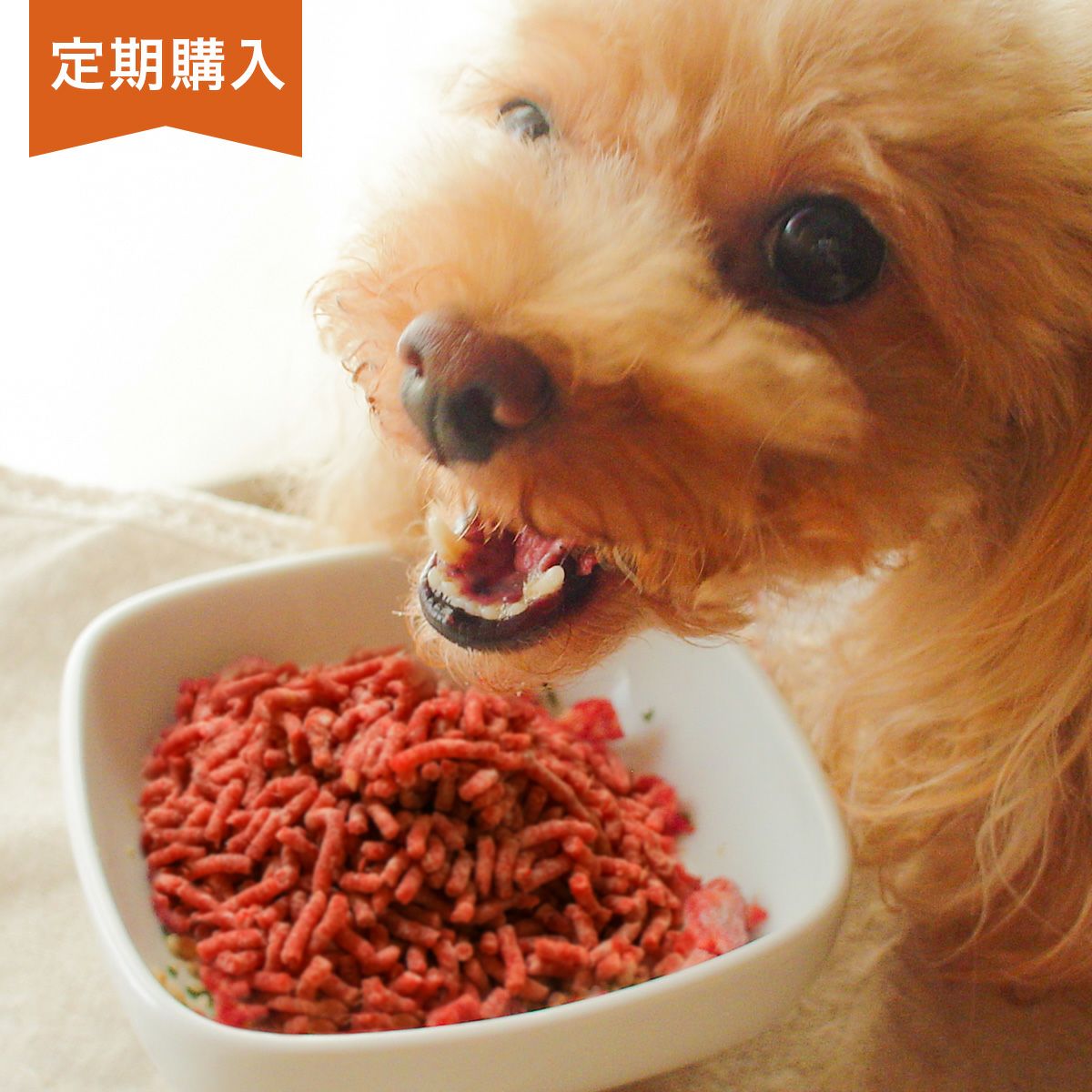 犬用の自然派ごはんと犬用の無添加おやつの専門店｜イリオスマイル公式通販