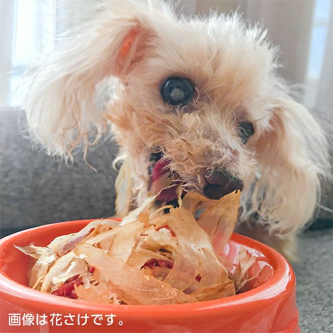 花さけ 薄削り 30g