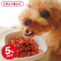 にくの日セール 【熊本直送】生馬肉パラパラミンチ 300g | 犬用