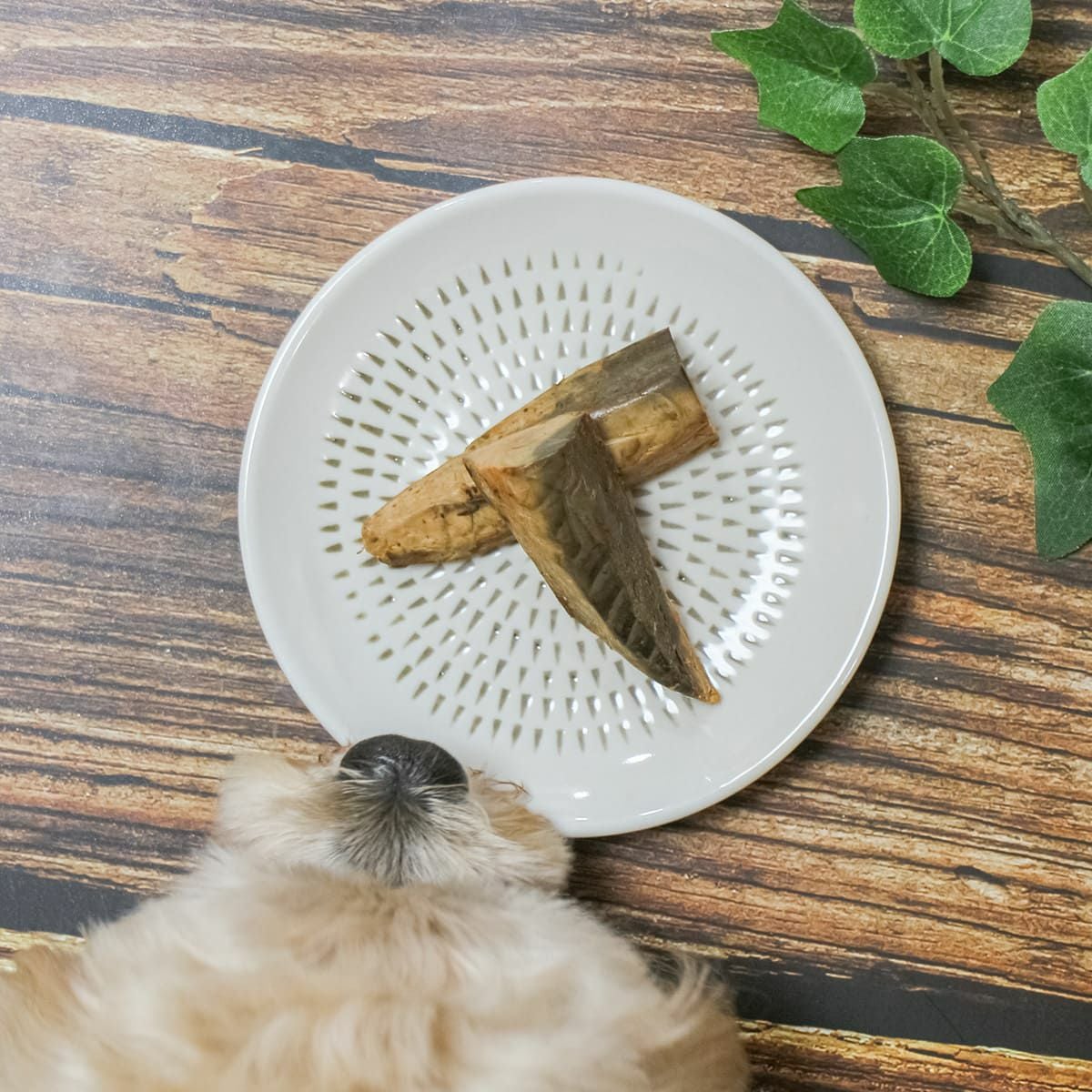 宗田節生節 2本入り