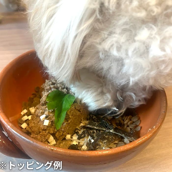 Bioliob ビオリオーブ】ビオ サーモン 夏のごちそう モリンガ和え