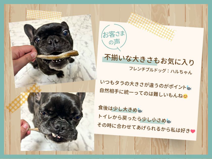 【無添加 国産】北海タラ 200g×5個セット